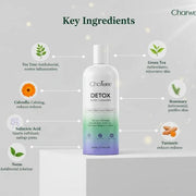 Detox Body Cleanser with Tea Tree & Salicylic Acid & 3-in-1 Volcanic Ash & Minerals Brightening Mud Mask